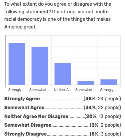 Somewhat Disagree — Multi-Racial Democracy chart